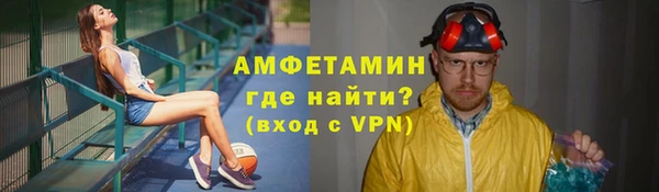 шишки Богородицк