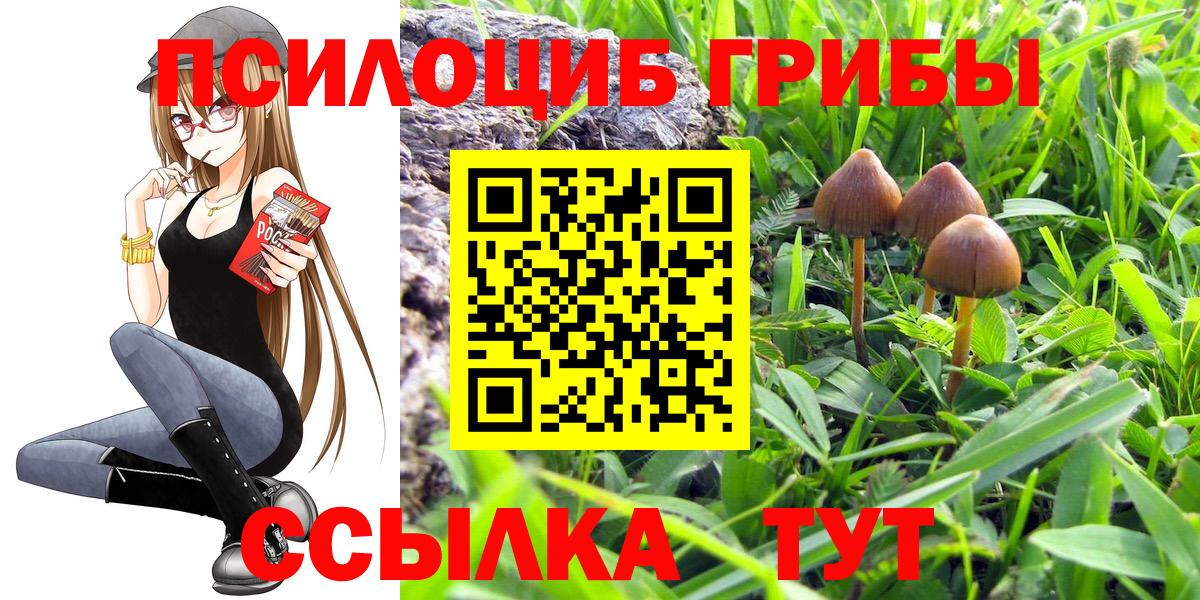 Псилоцибиновые грибы ЛСД  Псилоцибиновые грибы мухоморы  Верхний Уфалей  Вход с VPN 